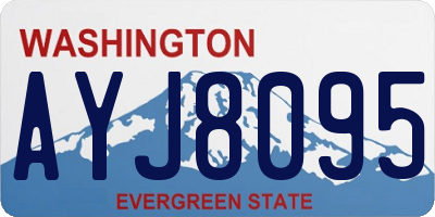 WA license plate AYJ8095