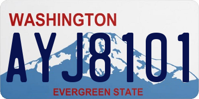 WA license plate AYJ8101