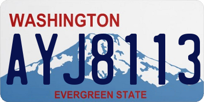 WA license plate AYJ8113
