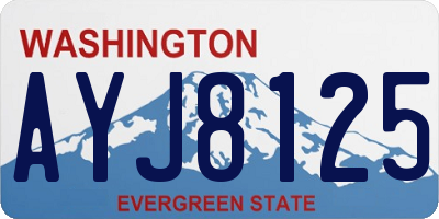 WA license plate AYJ8125
