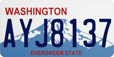 WA license plate AYJ8137