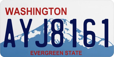 WA license plate AYJ8161