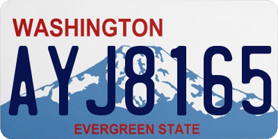 WA license plate AYJ8165