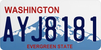WA license plate AYJ8181