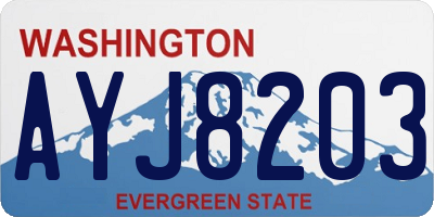 WA license plate AYJ8203