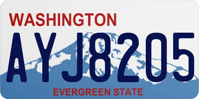 WA license plate AYJ8205