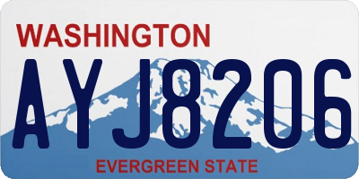 WA license plate AYJ8206
