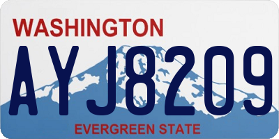 WA license plate AYJ8209