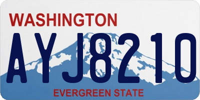 WA license plate AYJ8210