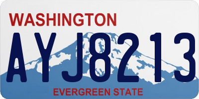 WA license plate AYJ8213