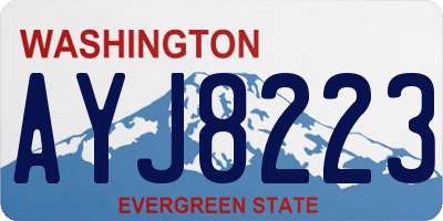 WA license plate AYJ8223