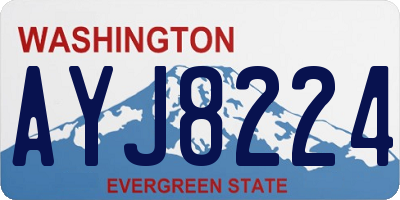 WA license plate AYJ8224