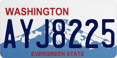 WA license plate AYJ8225