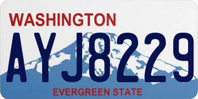 WA license plate AYJ8229