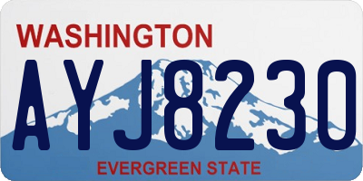 WA license plate AYJ8230