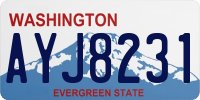WA license plate AYJ8231