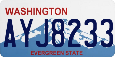 WA license plate AYJ8233