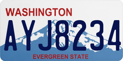 WA license plate AYJ8234