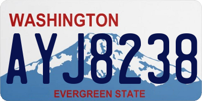 WA license plate AYJ8238