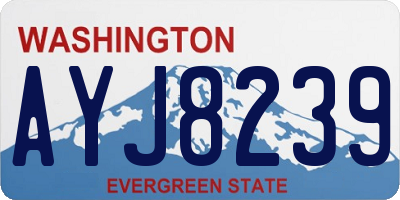 WA license plate AYJ8239