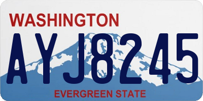 WA license plate AYJ8245