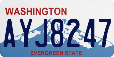 WA license plate AYJ8247