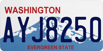 WA license plate AYJ8250