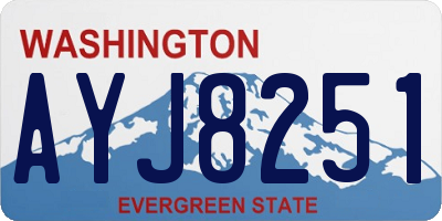 WA license plate AYJ8251