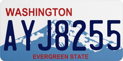 WA license plate AYJ8255