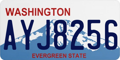 WA license plate AYJ8256