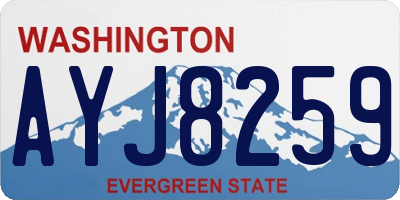 WA license plate AYJ8259
