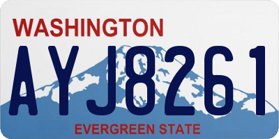 WA license plate AYJ8261