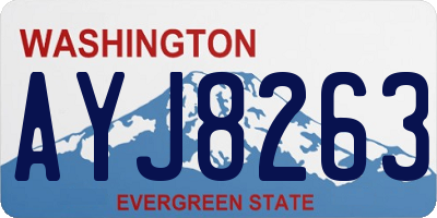 WA license plate AYJ8263