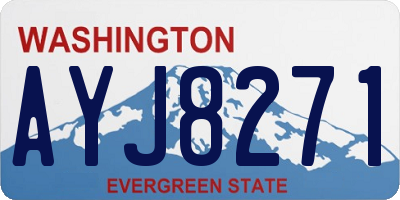 WA license plate AYJ8271