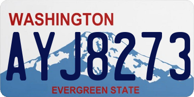 WA license plate AYJ8273