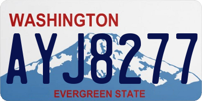 WA license plate AYJ8277