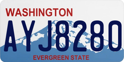 WA license plate AYJ8280