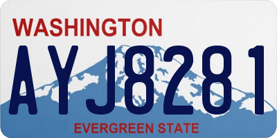 WA license plate AYJ8281