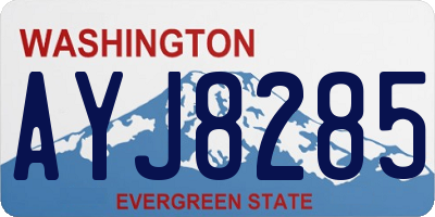 WA license plate AYJ8285