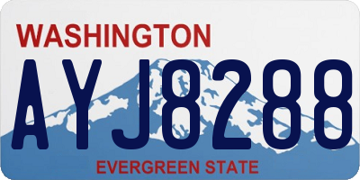 WA license plate AYJ8288