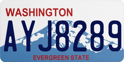 WA license plate AYJ8289