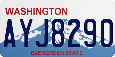 WA license plate AYJ8290