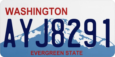 WA license plate AYJ8291