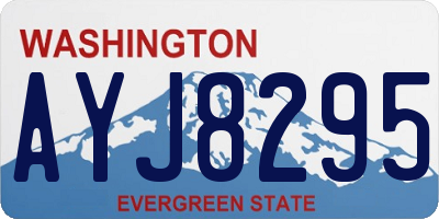 WA license plate AYJ8295