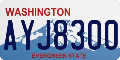 WA license plate AYJ8300