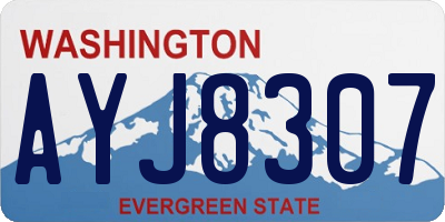 WA license plate AYJ8307