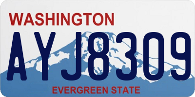WA license plate AYJ8309