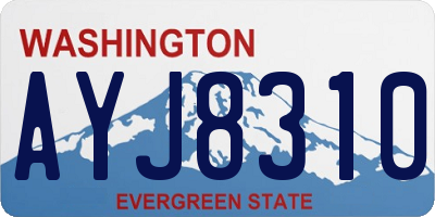 WA license plate AYJ8310