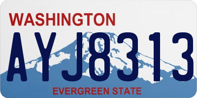 WA license plate AYJ8313