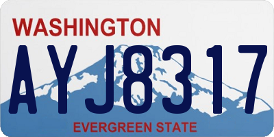 WA license plate AYJ8317